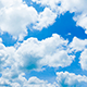 Jacqueline Marcia Gesslein